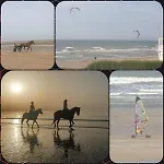 Superbe 3pièces Front De Mer, Sur La Cabourg *