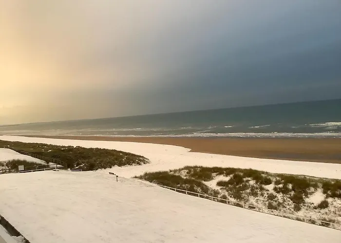 Appartamento Superbe 3pieces Front De Mer, Sur La Cabourg Varaville